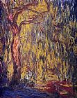 Weeping Willow 1